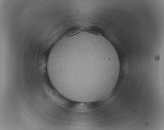 X0000113180082200909251452