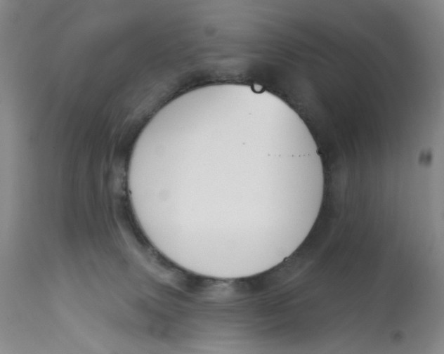 X0000113180083200909251453