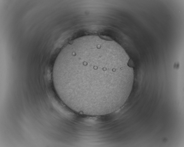 X0000113180086200909251453