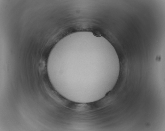 X0000113180087200909251453