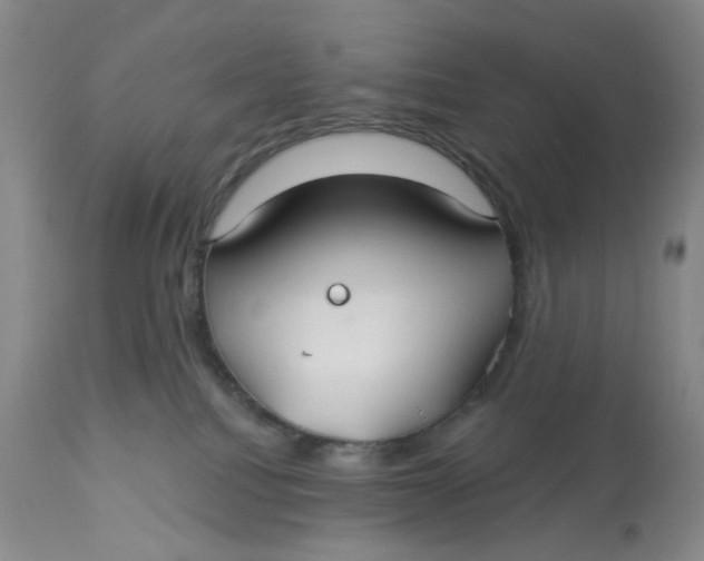 X0000113180088200909251453