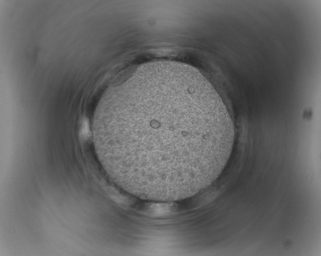 X0000113180089200909251453
