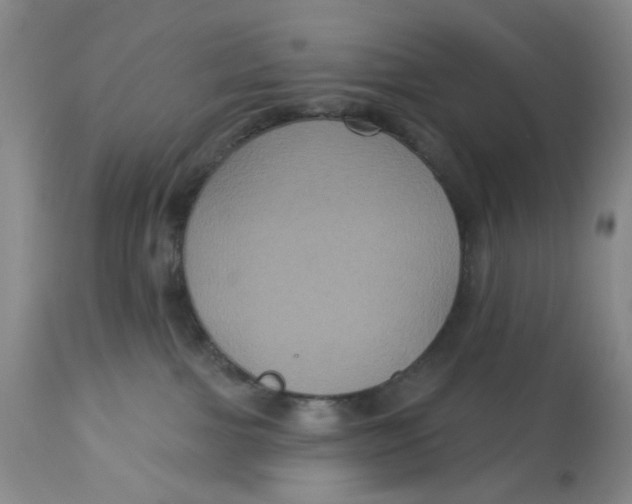 X0000113180091200909251453