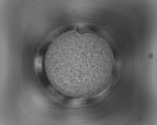 X0000113180094200909251453