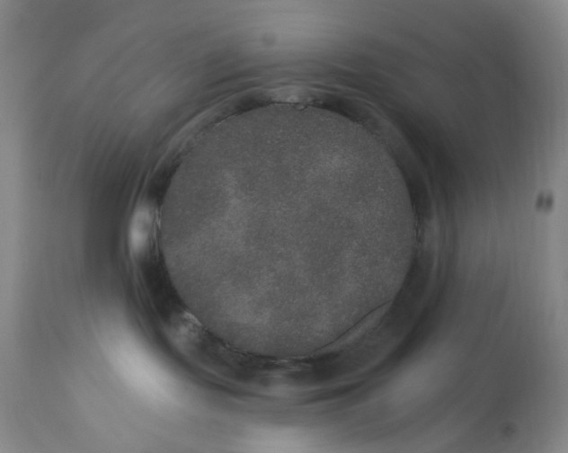 X0000113180095200909251453