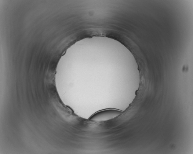 X0000113180096200909251453