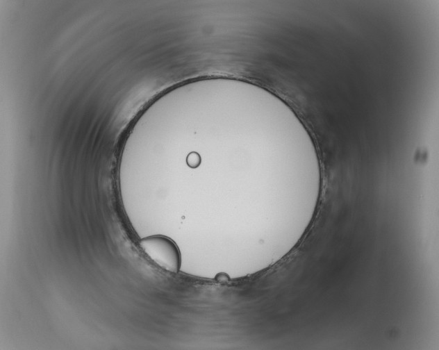 X0000113180098200909251452