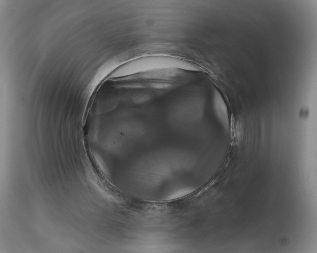 X0000113180099200909251452