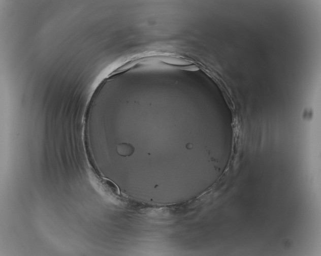 X0000113180100200909251452
