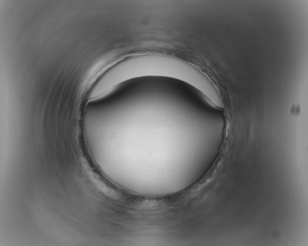 X0000113180101200909251452