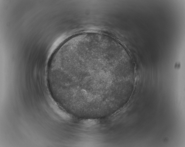 X0000113180102200909251452
