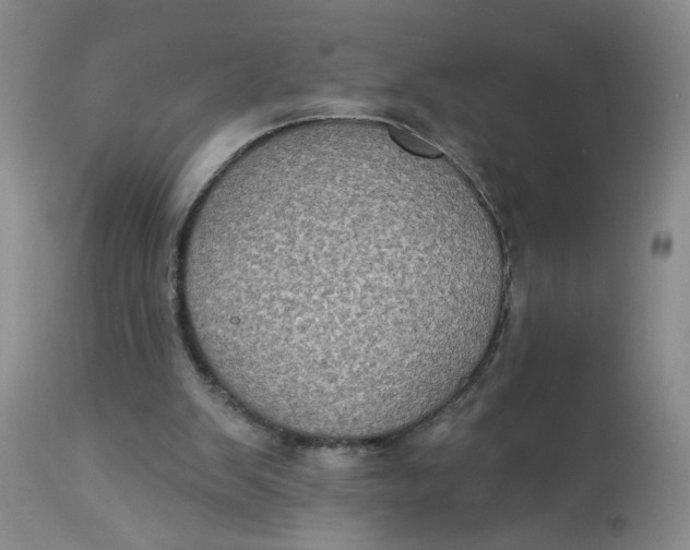 X0000113180103200909251452