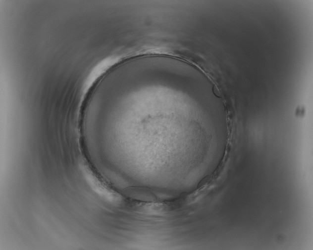 X0000113180104200909251452