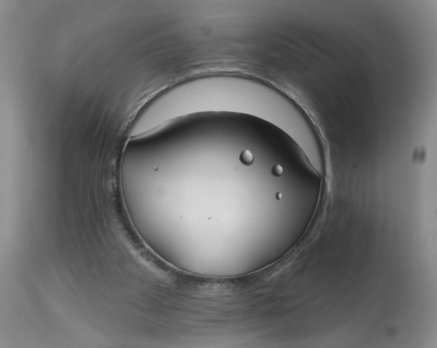 X0000113180105200909251452