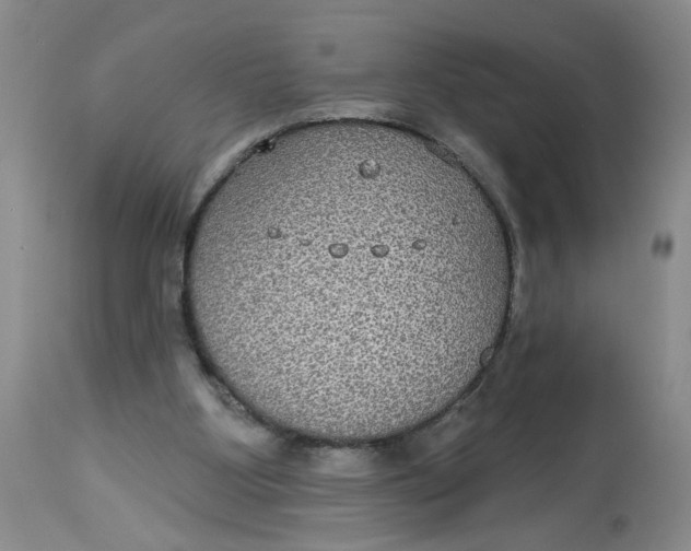 X0000113180107200909251452