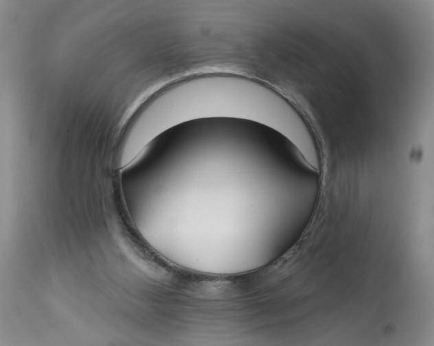 X0000113180108200909251452