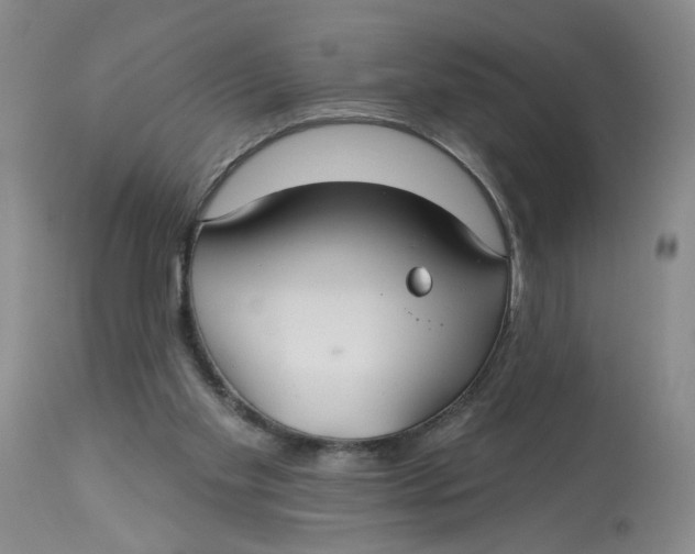 X0000113180109200909251452