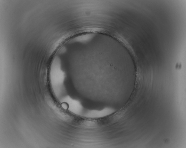 X0000113180110200909251452
