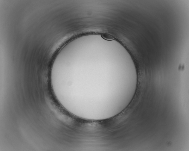 X0000113180112200909251452