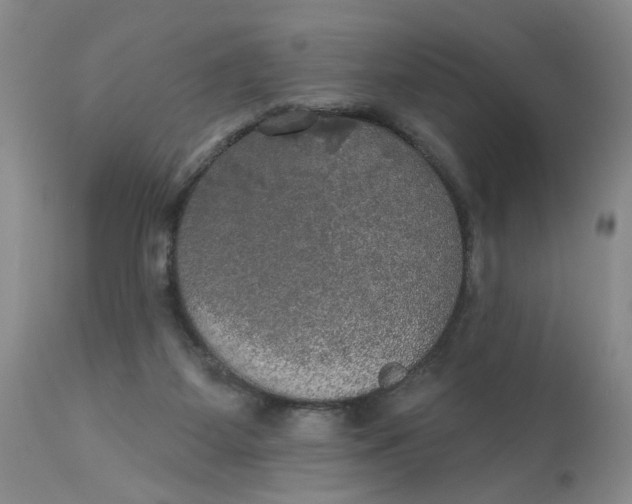 X0000113180115200909251451
