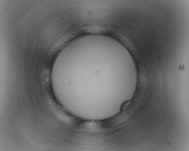 X0000113180117200909251451