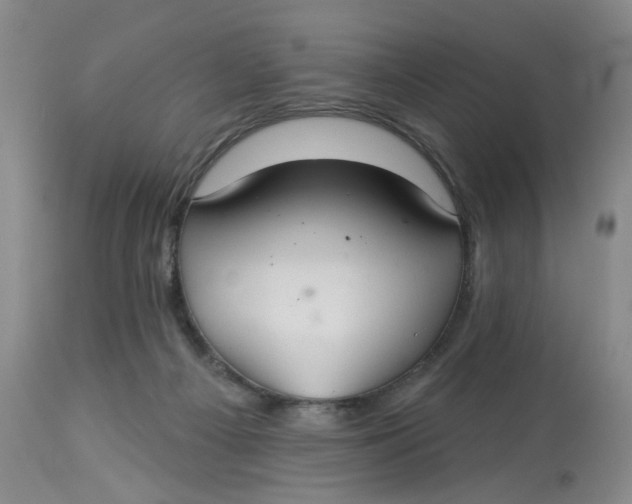 X0000113180121200909251451