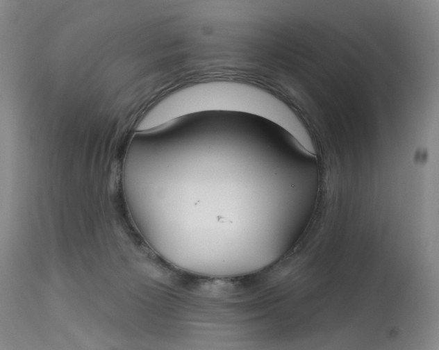 X0000113180125200909251451