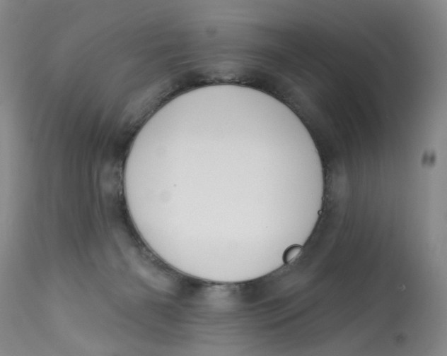 X0000113180126200909251451