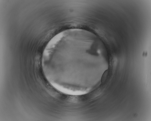 X0000113180127200909251451