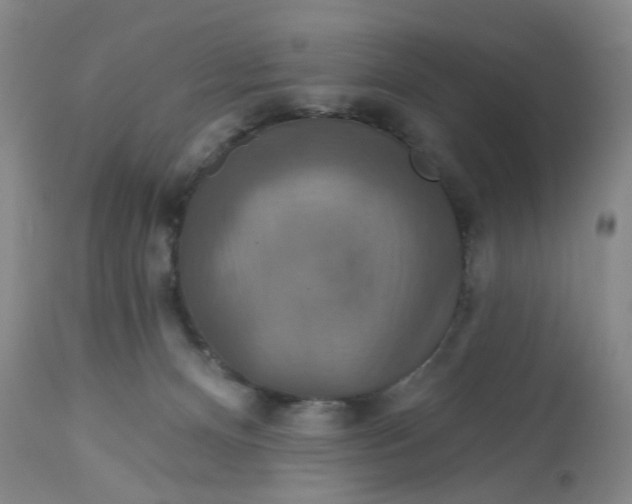 X0000113180128200909251451
