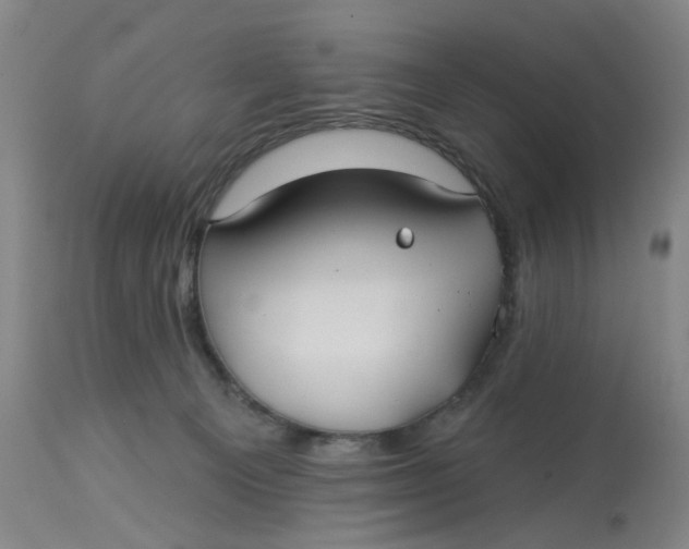 X0000113180129200909251451