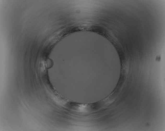 X0000113180130200909251451