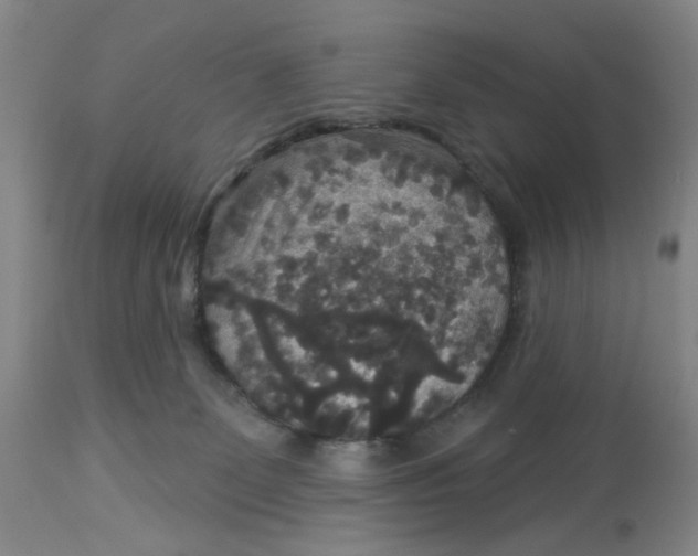 X0000113180131200909251451