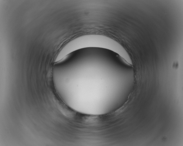 X0000113180132200909251451