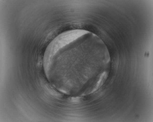 X0000113180134200909251451