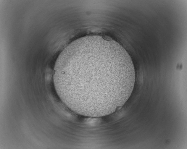 X0000113180135200909251451