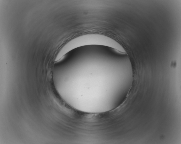X0000113180136200909251451