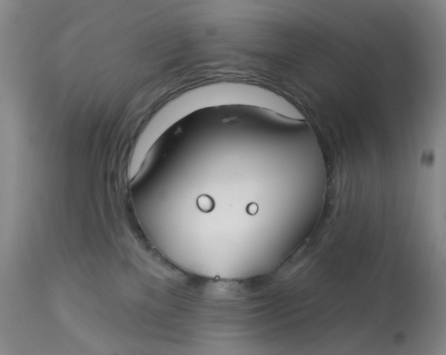X0000113180137200909251451