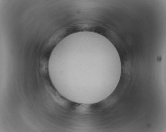 X0000113180138200909251451