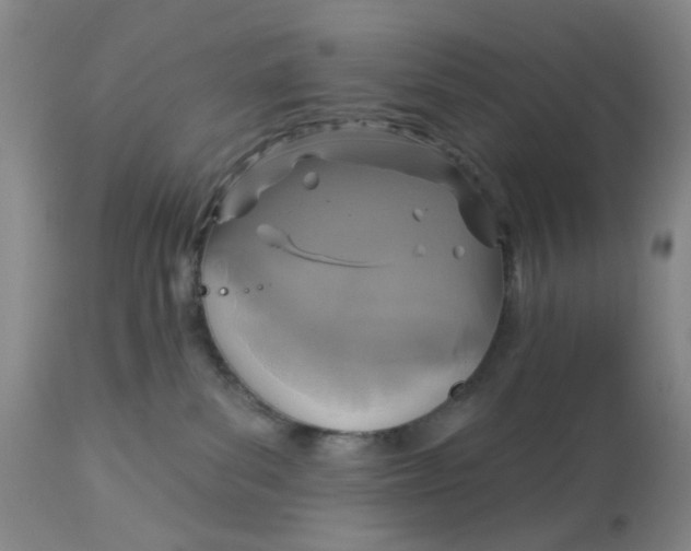 X0000113180139200909251451