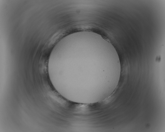 X0000113180140200909251451
