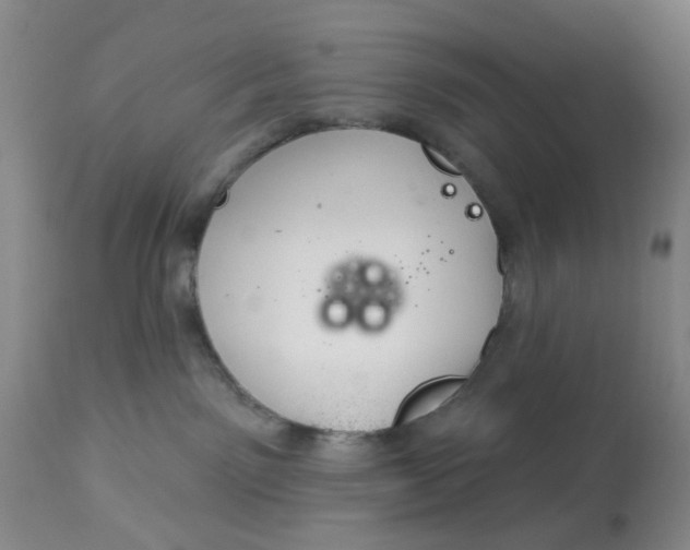 X0000113180141200909251451
