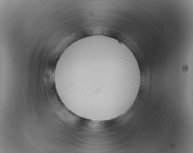 X0000113180142200909251451