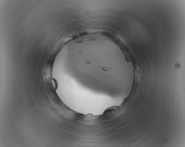 X0000113180143200909251451
