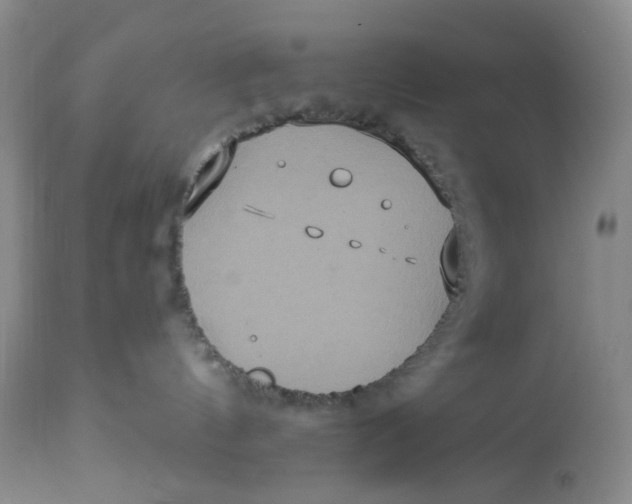 X0000113180144200909251451