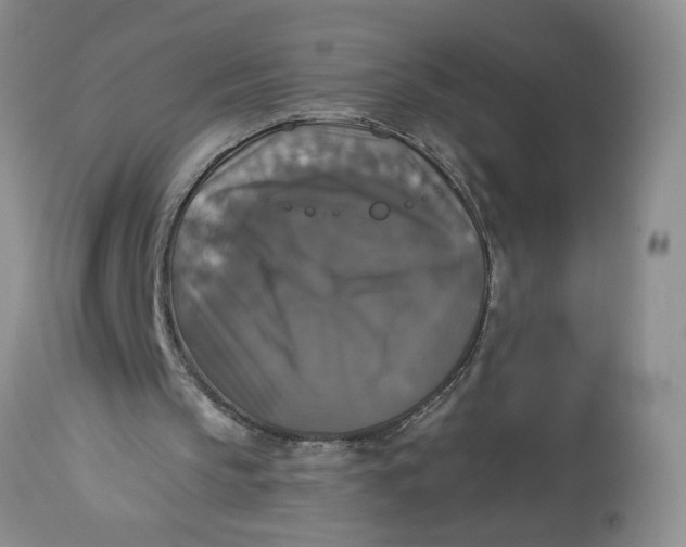 X0000113180145200909251450