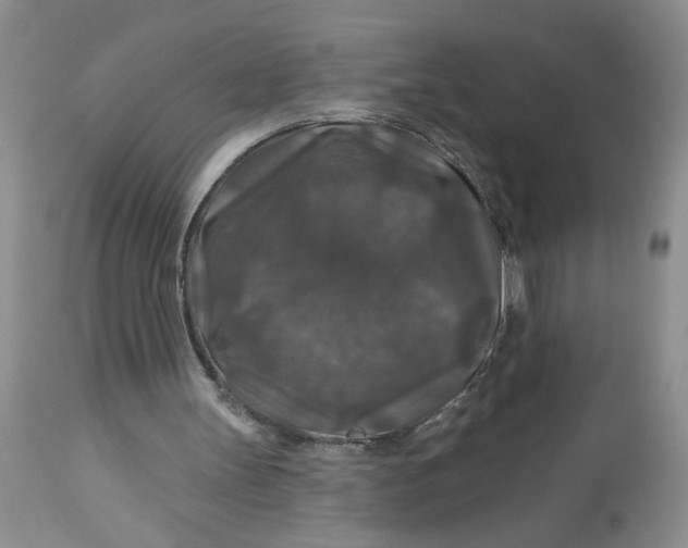 X0000113180147200909251450