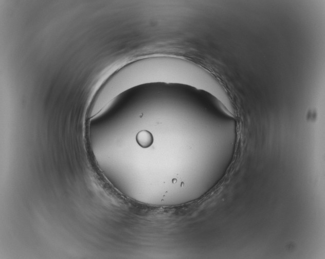 X0000113180148200909251450
