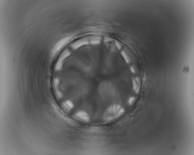 X0000113180149200909251450
