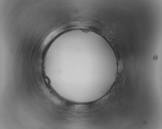 X0000113180150200909251450